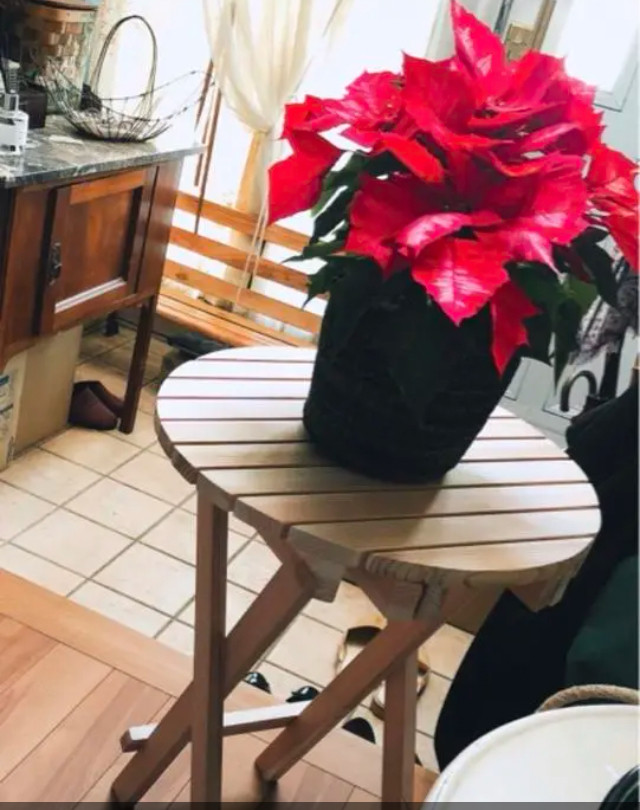 国産杉　折りたたみテーブル！^_^