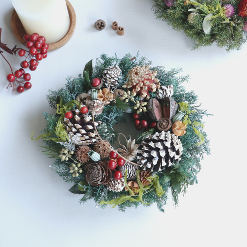完売❤️グリーンモスとシャリンバイと天然木の実達の華やかXmasリース