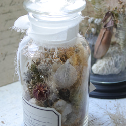 受注制作】森の三日月リース プリザーブドフラワー chainon 通販