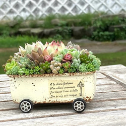⭐️多肉植物そのまま飾れる⭐️Xmas ⭐️train列車⭐️オーダーページ⭐️ オーダー承ります 多肉植物寄せ植え そのまま飾れる ちま寄せ花車 多肉