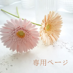 送料無料】❁いちごのかわいいポットにピンクのかわいいクレイ