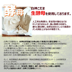 グルテンフリー ヴィーガン　農薬不使用玄米だけでお作りした　玄米パン（プレーン） 10枚目の画像