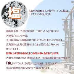グルテンフリー ヴィーガン　農薬不使用玄米だけでお作りした　玄米パン（プレーン） 13枚目の画像