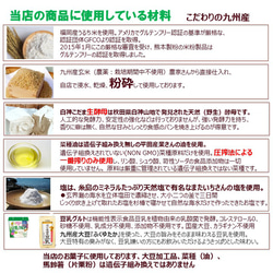 グルテンフリー ヴィーガン　農薬不使用玄米だけでお作りした　玄米パン（プレーン） 8枚目の画像