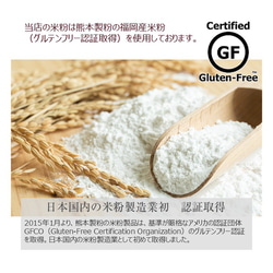 グルテンフリー、卵・乳製品・動物性食品不使用の米粉のお菓子11個セット(NEW01-11) 10枚目の画像