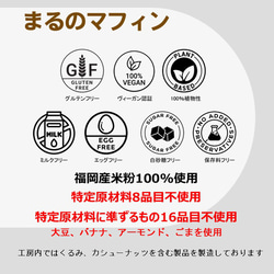 グルテンフリー、卵・乳製品・動物性食品不使用の米粉のお菓子11個セット(NEW01-11) 8枚目の画像
