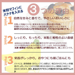 グルテンフリー、卵・乳製品・動物性食品不使用の米粉のお菓子11個セット(NEW01-11) 20枚目の画像