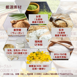 グルテンフリー、卵・乳製品・動物性食品不使用の米粉のお菓子11個セット(NEW01-11) 15枚目の画像