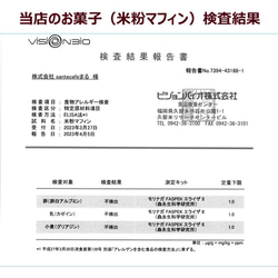 グルテンフリー、卵・乳製品・動物性食品不使用の米粉のお菓子11個セット(NEW01-11) 18枚目の画像
