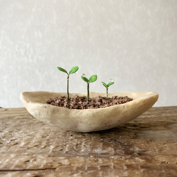 9734.bud 粘土の鉢植え 背の順 1枚目の画像