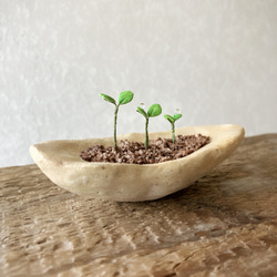 9734.bud 粘土の鉢植え 背の順 4枚目の画像