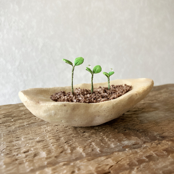 9734.bud 粘土の鉢植え 背の順 4枚目の画像