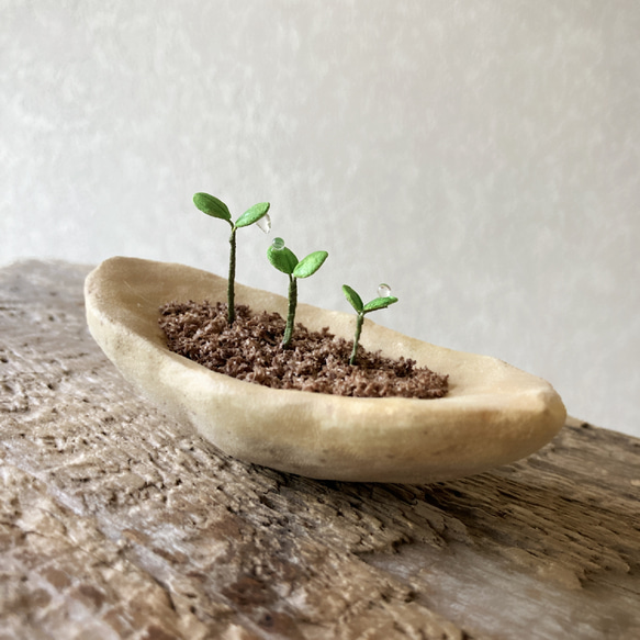 9734.bud 粘土の鉢植え 背の順 2枚目の画像