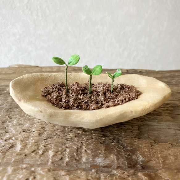 9734.bud 粘土の鉢植え 背の順 3枚目の画像