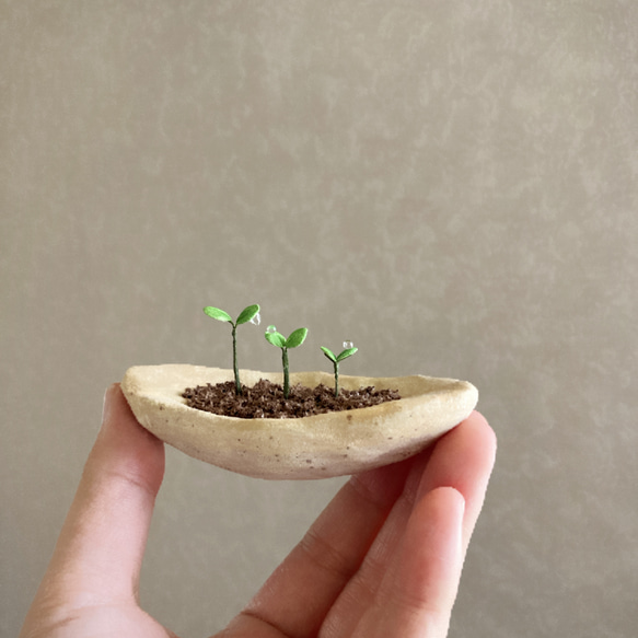 9734.bud 粘土の鉢植え 背の順 5枚目の画像