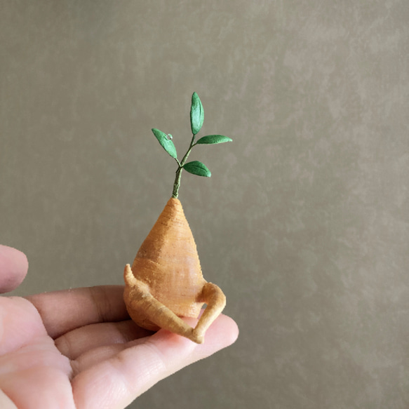 9740.bud ガジュマルとベンチ　給水 8枚目の画像