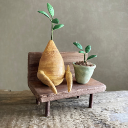 9741.bud ガジュマルとベンチ　友達 4枚目の画像