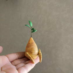 9741.bud ガジュマルとベンチ　友達 8枚目の画像