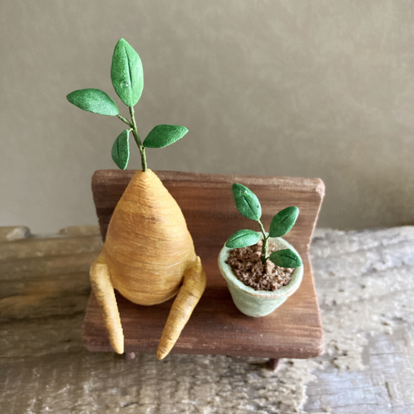 9741.bud ガジュマルとベンチ　友達 3枚目の画像