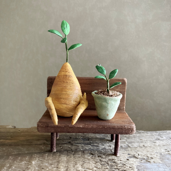 9741.bud ガジュマルとベンチ　友達 1枚目の画像