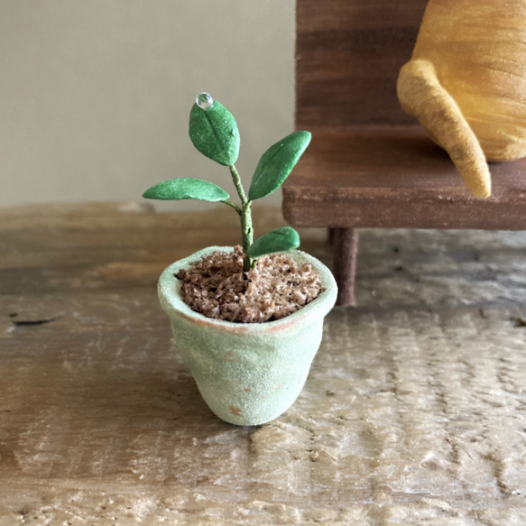 9741.bud ガジュマルとベンチ　友達 6枚目の画像