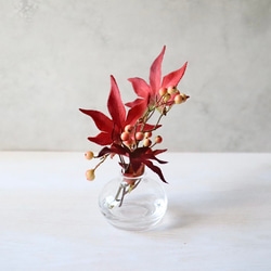 タイムセール 金魚アート 紅葉 もみじ 置物 プリザーブドフラワー グリーン タイムセール 金魚アート 紅葉 もみじ 置物 プリザーブド