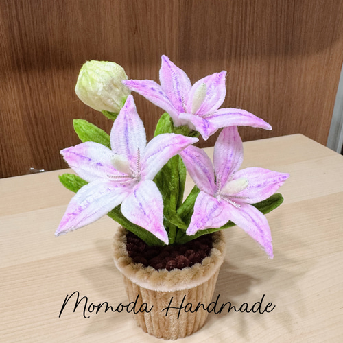 ききき　モールフラワー 41uZhLvWkEL._SS200_.jpg