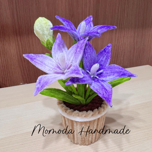 ききき　モールフラワー 3fc97859876aeb4fe6b91f1ae695a5