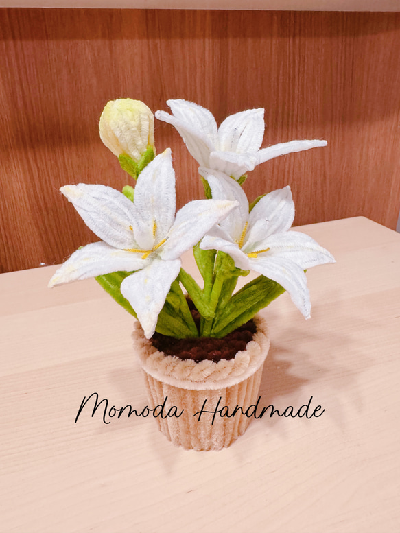 ききき　モールフラワー 3fc97859876aeb4fe6b91f1ae695a5