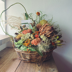 Botanical wreath 6 popolus ユーカリポポラスリース リース Creams