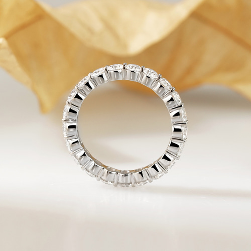 クラシックフルエタニティリング R1-W（3週間発送） 指輪・リング 武田  