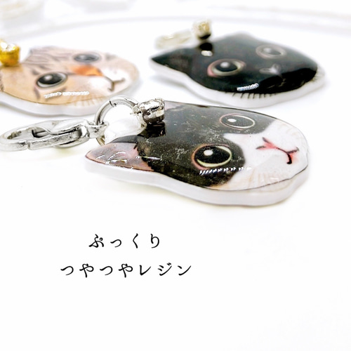 猫 顔 ストラップチャーム キジトラ ハチワレ 黒 クロ ネコ 茶トラ