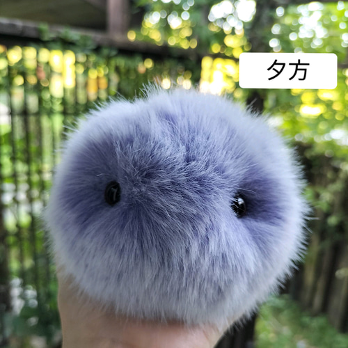 手のひらに、生きてるみたいな命の重み・もふもふのおともだち