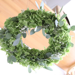 フライングリース のおすすめ人気通販 検索結果｜Creema(クリーマ