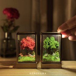 雪遊びのアカキツネ 真鍮フレーム ミニチュア アート 8枚目の画像