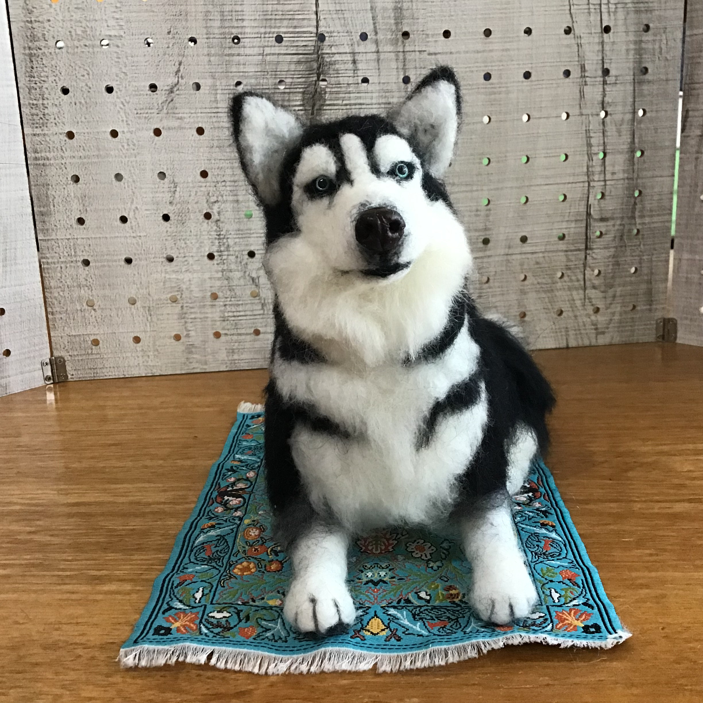 シベリアンハスキー（リラックスポーズ）