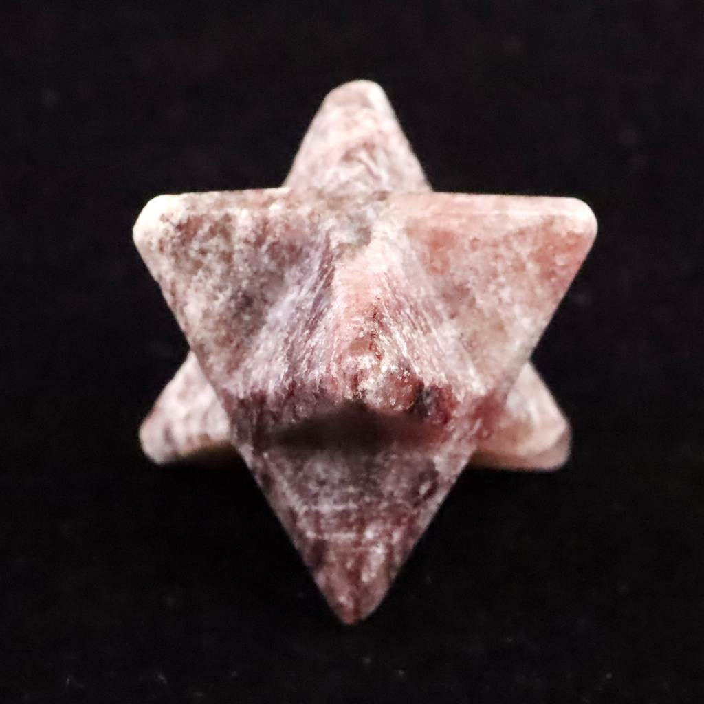 徳島県 アークナイト 25.5mm マカバスター  7.29g #10405