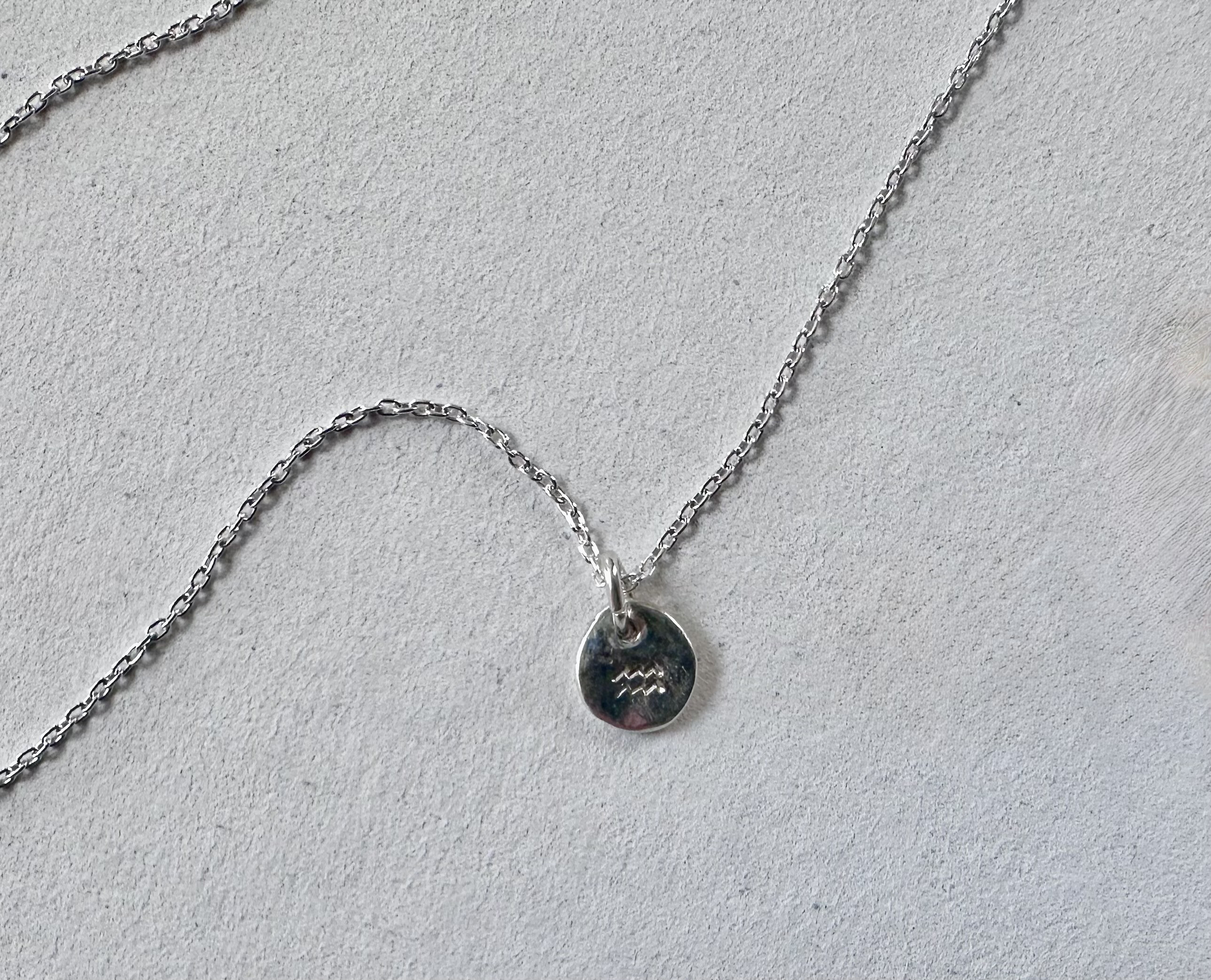 Sv925  12星座 コインネックレス