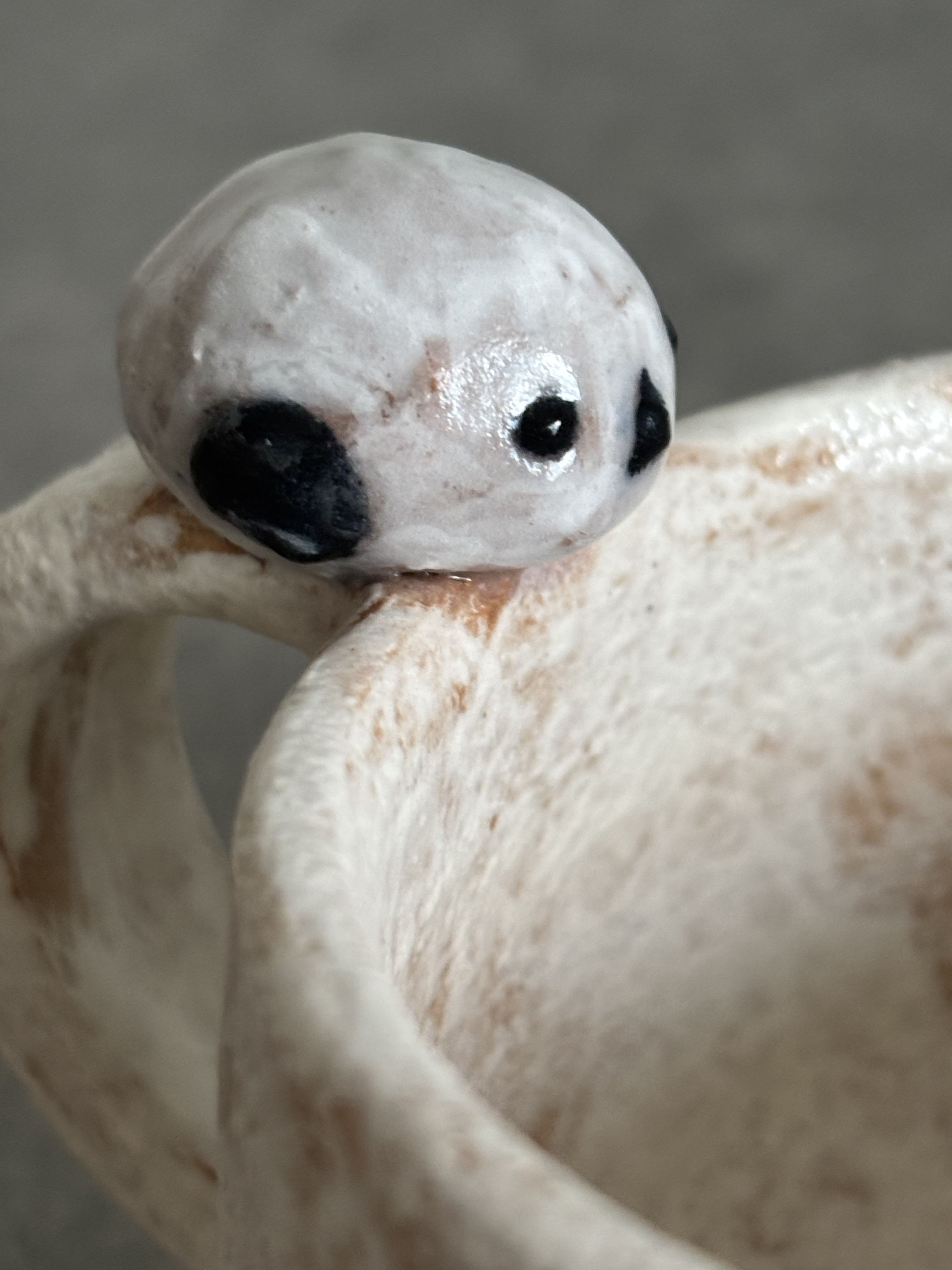 シマエナガ　コーヒーカップ　生き物シリーズ　可愛い　SE-1