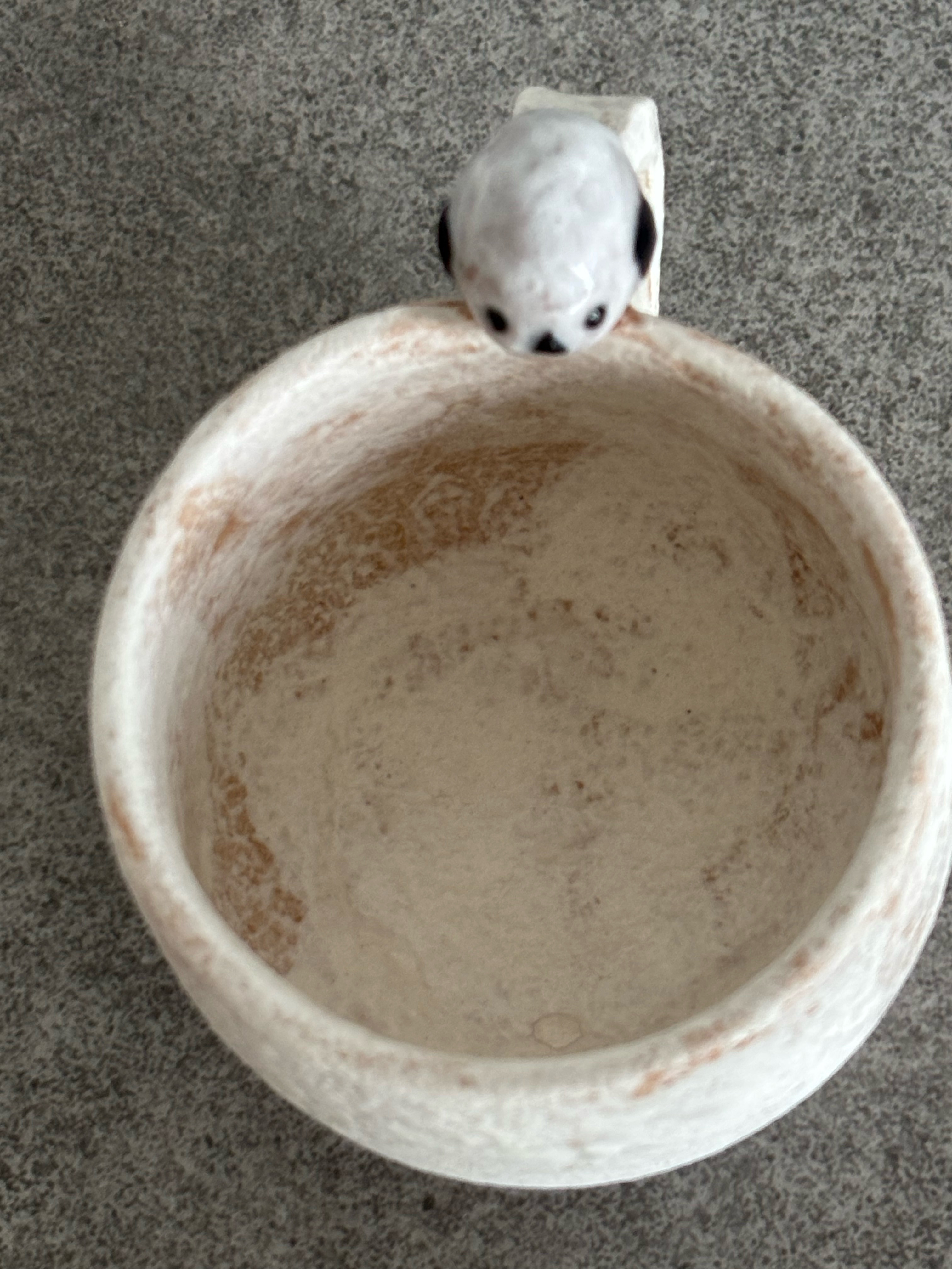 シマエナガ　コーヒーカップ　生き物シリーズ　可愛い　SE-1