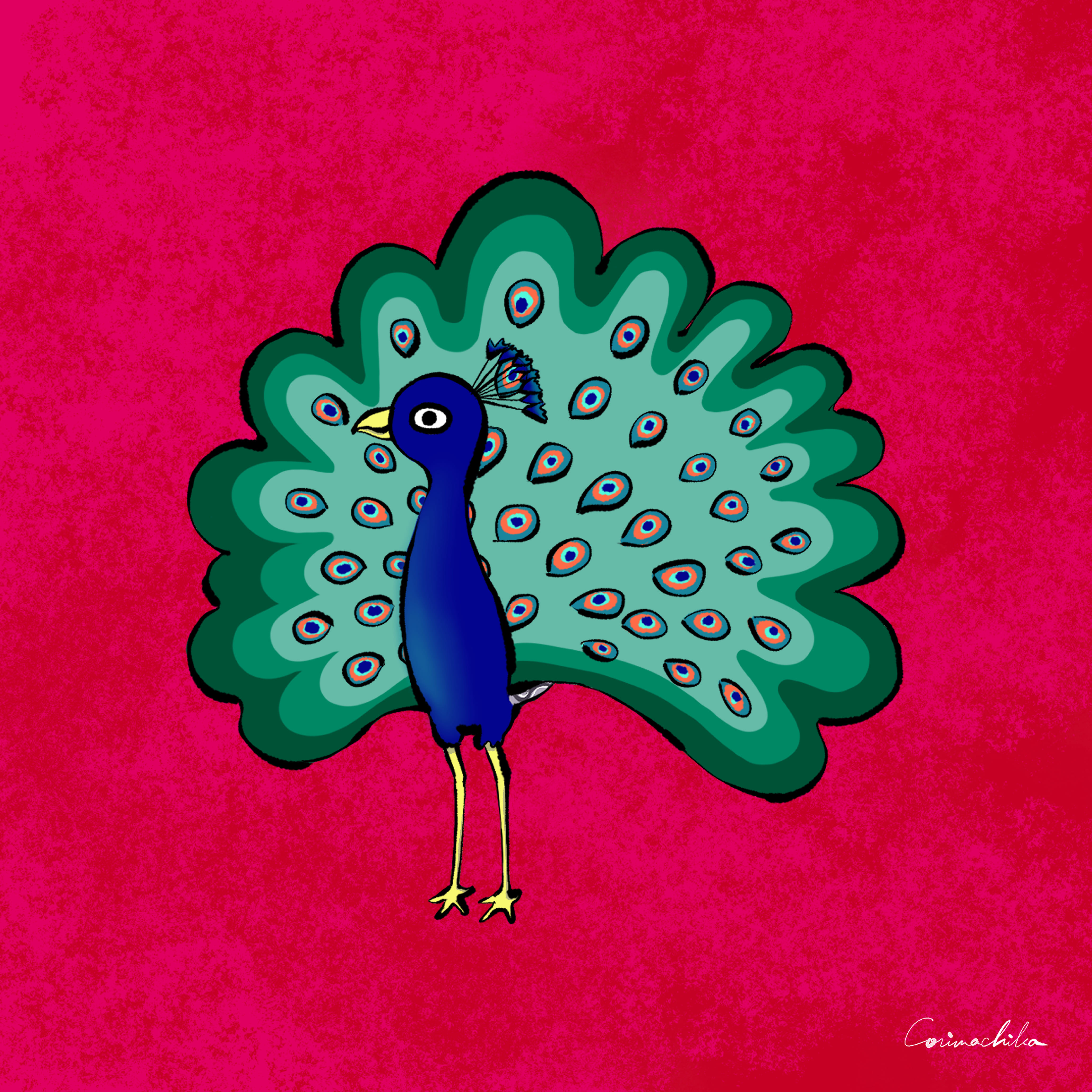 孔雀のクック（額装イラスト 300×300サイズ）