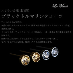 ✴︎つけっぱなしOK✴︎ ブラックトルマリンクォーツ ベゼルピアス 一粒 4mm 316 4月 10月誕生石 両耳用 9枚目の画像