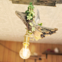 限定1台！ 流木のペンダントライト1灯　RUKI　LED電球付属　｜天井照明　カフェ/サロン店舗照明 7枚目の画像
