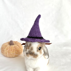 ハロウィン 魔女帽子 うさぎ・ペット・ぬいぐるみ ペット服