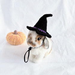 ハロウィン 魔女帽子 うさぎ・ペット・ぬいぐるみ ペット服