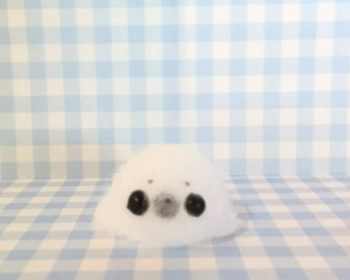 c2fdf5946d15cfd5d81167f8222ebe