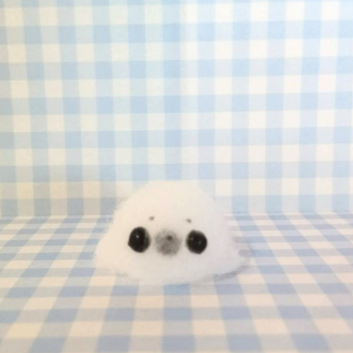 もちもち♪アザラシちゃんスクイーズ その他雑貨 ぽめまる