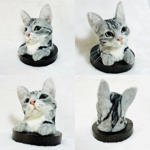 うちの子オーダー2025 穴から覗くお顔タイプ 猫 ねこ ネコ うちのこ