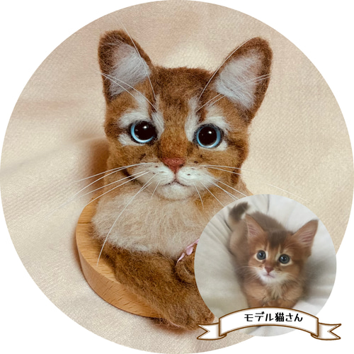 うちの子オーダー2025 穴から覗くお顔タイプ 猫 ねこ ネコ うちのこ