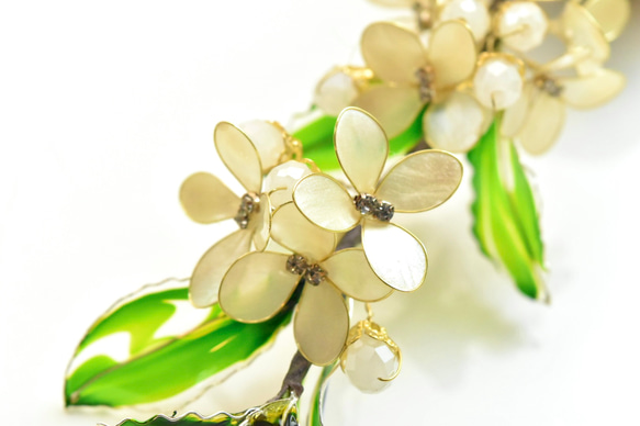 ■受注制作【植物標本 S】銀木犀(ぎんもくせい) 4枚目の画像